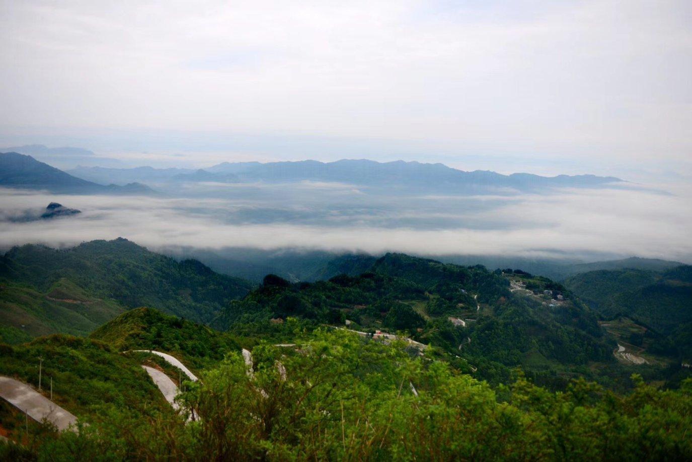 邯郸体院分数线游戏画面