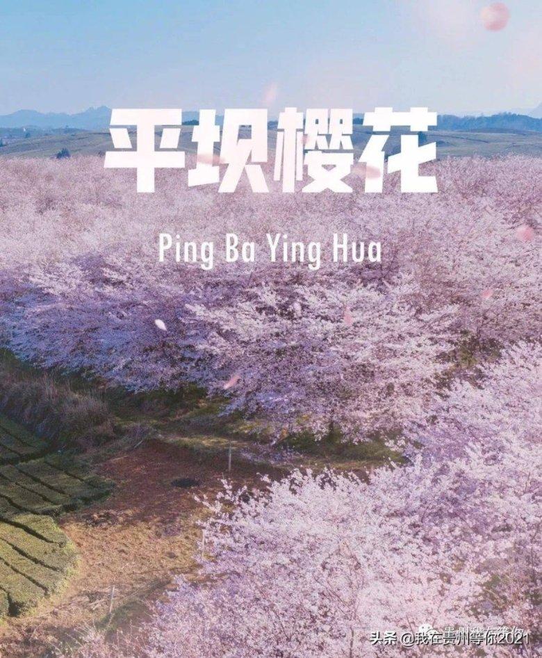 一百年之后