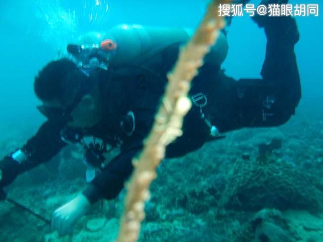 欧洲深陷“恐俄焦虑症”,金一南:这就叫“杞人无事忧天倾”